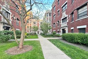 Oak Park apartment for rent - A tree in a circle of dirt stands in front of a brick building.