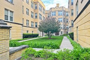 Oak Park apartment for rent - A tree in a courtyard surrounded by buildings.