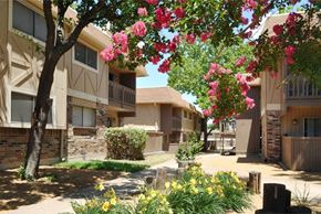 Garland apartment for rent - Beautiful large trees at Forest Glen Apartments, Garland, Texas