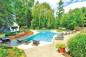 Troy apartment for rent - Large pool with spa and kiddy pool set on beautiful sundeck