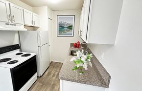 New Hudson apartment for rent - A newly updated, upgraded kitchen with distinctive cabinetry, dishwasher, wood plank flooring and today's appliances is ready for The Chef.