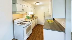 Detroit apartment for rent - Cheerful kitchen with lots of counter space and cabinetry, along with wood-grained vinyl flooring.