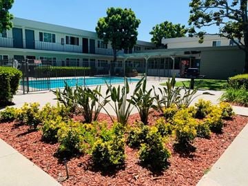 Long Beach apartment for rent - a garden in front of a swimming pool