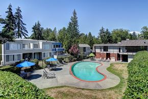 Bellevue apartment for rent - A swimming pool is surrounded by a grassy area and trees.