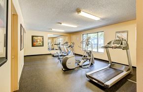 Bellevue apartment for rent - A gym with treadmills, elliptical machines, and other exercise equipment.