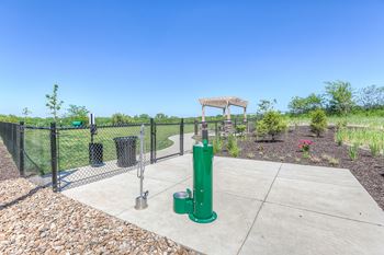 Dog park