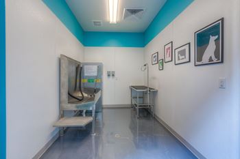 Pet wash center