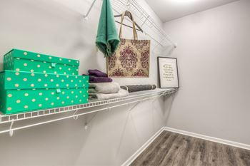 Generous walk-in closets with shelving