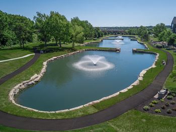 Pond view