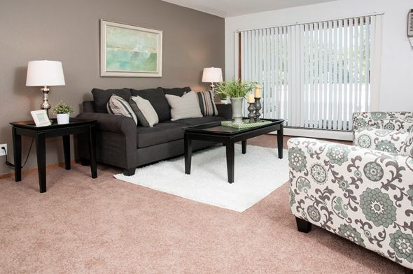 Coon Rapids apartment for rent - a living room with a couch and a chair