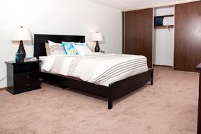 Coon Rapids apartment for rent - a bedroom with a bed and a closet