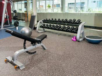 Free weights