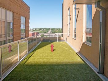 Pet park