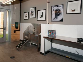 Pet spa & dog run