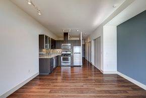 Seattle apartment for rent - A modern kitchen with wood floors and stainless steel appliances.