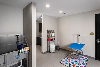 Pet spa
