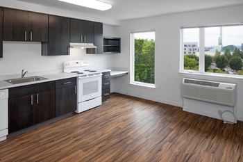 Modern kitchens
