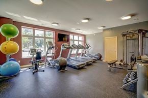 Madison apartment for rent - a gym with treadmills and weights on the floor and a window