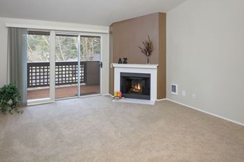 Wood burning fireplaces