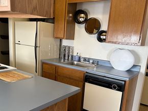 Fayetteville apartment for rent - a small kitchen with a sink and a refrigerator