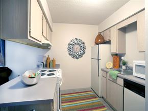 Conway apartment for rent - a kitchen with a stove and a refrigerator