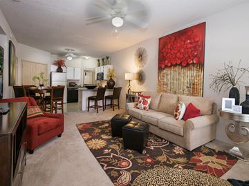 Oxford apartment for rent - a living room with a couch and a rug