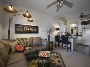 Starkville apartment for rent - a living room and kitchen with a couch and a table