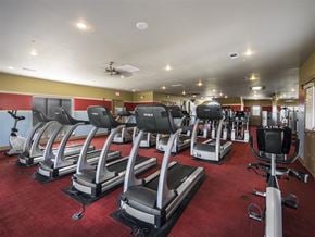 Bentonville apartment for rent - a gym with rows of treadmills and other exercise equipment