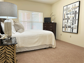 Bentonville apartment for rent - a bedroom with a bed and a dresser and a window
