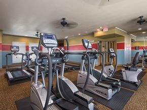 Canton apartment for rent - a gym with cardio equipment and exercise machines