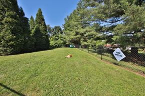 Westminster apartment for rent - a dog laying on the grass in a dog park