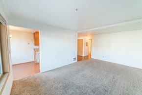 Seattle apartment for rent - an empty living room with carpet and a kitchen