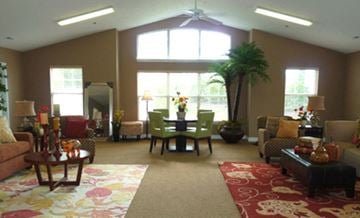 Richmond apartment for rent - A living room with a rug and a potted plant.