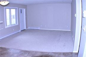 Brandon apartment for rent - an empty living room with white carpet and a window