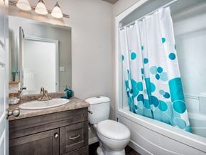 Brandon apartment for rent - a bathroom with a shower curtain and a toilet and a sink