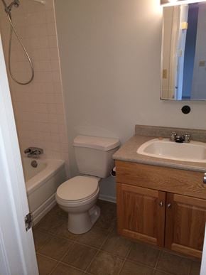 Brandon apartment for rent - a small bathroom with a toilet and a sink