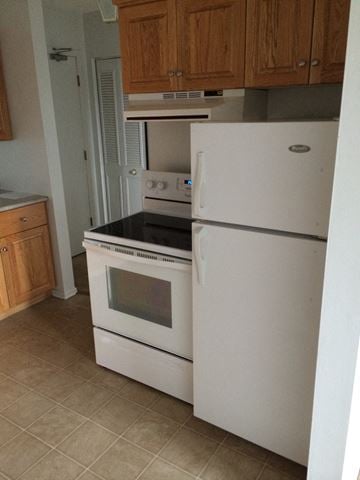 Brandon apartment for rent - a kitchen with a stove and a refrigerator