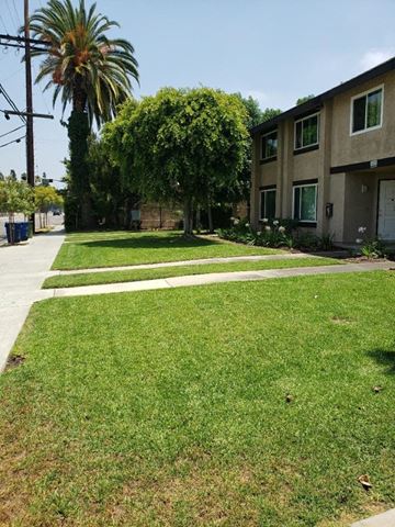Los Angeles apartment for rent - a yard in front of a house with grass and a sidewalk