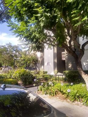 Los Angeles apartment for rent - a garden in front of a building with a tree
