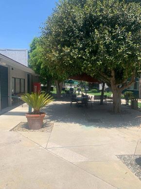 Los Angeles apartment for rent - a patio with a tree and tables and chairs