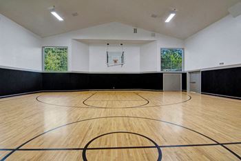 On the green basketball court