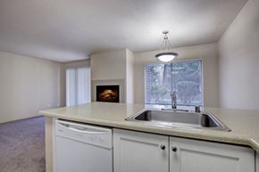 Mukilteo apartment for rent - a kitchen with a sink and a window and a fireplace