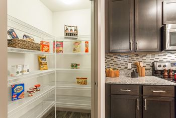 Kitchen with shelves