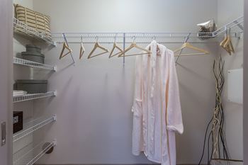 Closet view