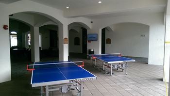 Ping pong table area