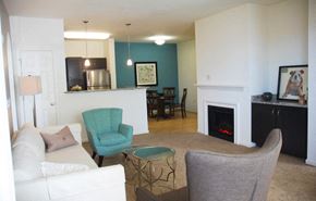 Winchester apartment for rent - a living room with a couch and a chair and a fireplace