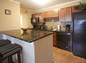 Schaumburg apartment for rent - a kitchen with a granite counter top and a black refrigerator