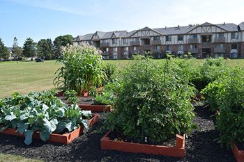 Community gardens