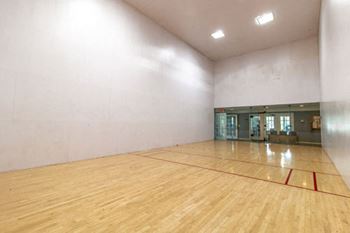Racquetball/wallyball court