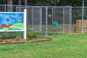 Dog park